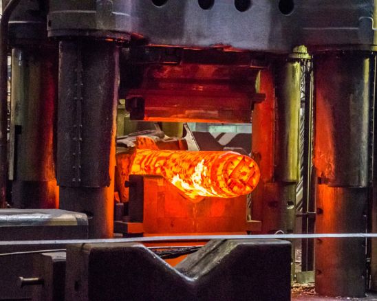 Forgings & Flanges Nuclear Sector